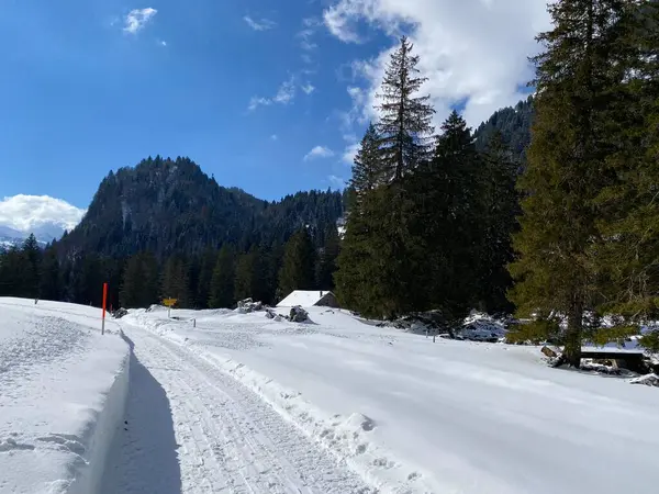 Idílio Neve Inverno Longo Estrada Alpina Rural Acima Vale Obertoggenburg — Fotografia de Stock