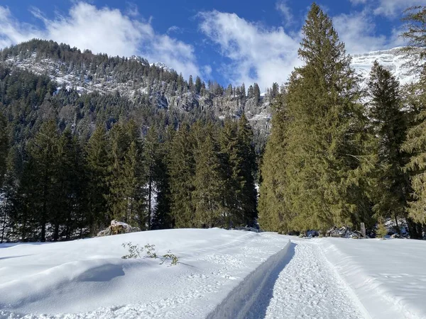 Idílio Neve Inverno Longo Estrada Alpina Rural Acima Vale Obertoggenburg — Fotografia de Stock