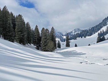 Obertoggenburg Alp Vadisi ve İsviçre Alpleri 'ndeki kar yağışı sonrası tipik bir kış atmosferindeki alp ağaçlarının resimli tepe örtüleri (Schweiz)