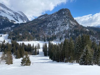 Obertoggenburg Alp Vadisi ve İsviçre Alpleri 'ndeki kar yağışı sonrası tipik bir kış atmosferindeki alp ağaçlarının resimli tepe örtüleri (Schweiz)