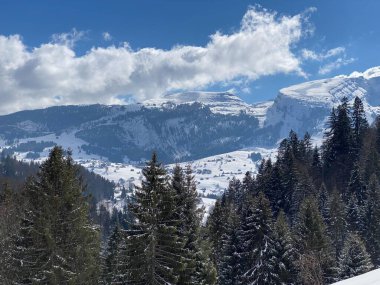 Obertoggenburg Alp Vadisi ve İsviçre Alpleri 'ndeki kar yağışı sonrası tipik bir kış atmosferindeki alp ağaçlarının resimli tepe örtüleri (Schweiz)