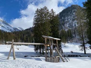 Obertoggenburg Alp Vadisi ve İsviçre Alpleri 'ndeki kar yağışı sonrası tipik bir kış atmosferindeki alp ağaçlarının resimli tepe örtüleri (Schweiz)