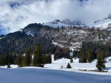 Obertoggenburg Alp Vadisi ve İsviçre Alpleri 'ndeki kar yağışı sonrası tipik bir kış atmosferindeki alp ağaçlarının resimli tepe örtüleri (Schweiz)