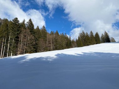 Obertoggenburg Alp Vadisi ve İsviçre Alpleri 'ndeki kar yağışı sonrası tipik bir kış atmosferindeki alp ağaçlarının resimli tepe örtüleri (Schweiz)