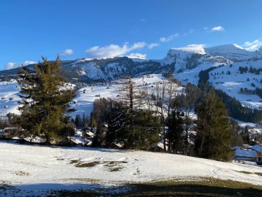 Obertoggenburg Alp Vadisi ve İsviçre Alpleri 'ndeki kar yağışı sonrası tipik bir kış atmosferindeki alp ağaçlarının resimli tepe örtüleri (Schweiz)
