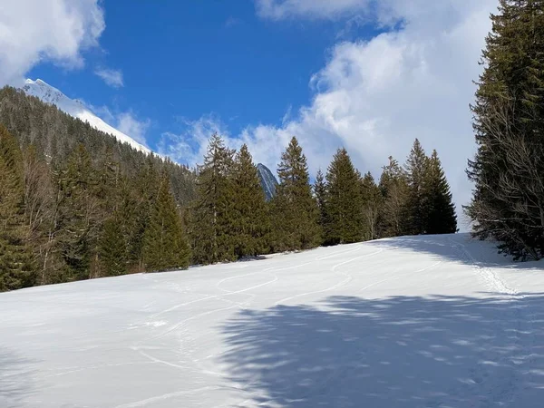 オーバートッゲンブルク高山渓谷とスイスアルプスの雪の後の典型的な冬の雰囲気の中で高山の木の絵の天蓋 Unterwasser Swishiz — ストック写真