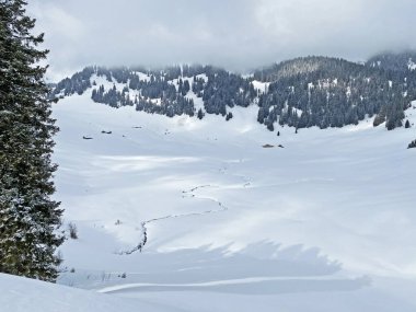 Grappelensee Gölü (Graeppelensee) çevresindeki dağlık çayırlarda taze kar ve İsviçre Alpleri 'nin vadilerinde tipik bir kış manzarası - Unterwasser, İsviçre (Schweiz)