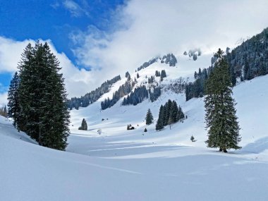 Grappelensee Gölü (Graeppelensee) çevresindeki dağlık çayırlarda taze kar ve İsviçre Alpleri 'nin vadilerinde tipik bir kış manzarası - Unterwasser, İsviçre (Schweiz)