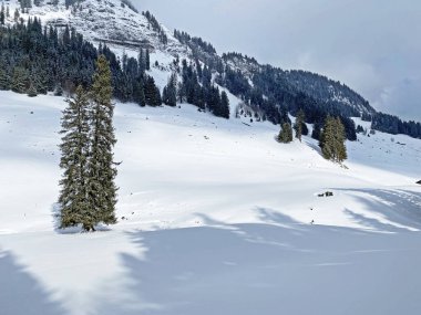 Grappelensee Gölü (Graeppelensee) çevresindeki dağlık çayırlarda taze kar ve İsviçre Alpleri 'nin vadilerinde tipik bir kış manzarası - Unterwasser, İsviçre (Schweiz)