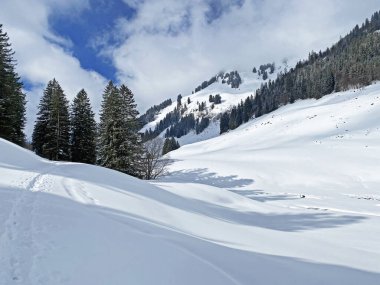 Grappelensee Gölü (Graeppelensee) çevresindeki dağlık çayırlarda taze kar ve İsviçre Alpleri 'nin vadilerinde tipik bir kış manzarası - Unterwasser, İsviçre (Schweiz)
