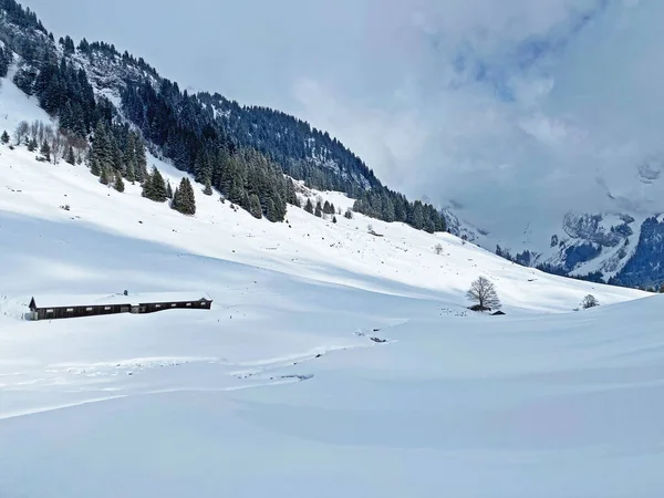 Свежий Снег Альпийских Пастбищах Вокруг Озера Граппелензе Graeppelensee Типичный Зимний — стоковое фото