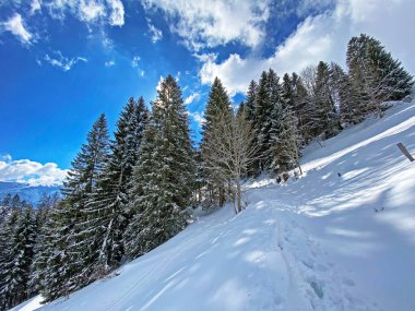 Obertoggenburg bölgesindeki Churfirsten dağlarının karlı yamaçlarında Unterwasser - İsviçre (Schweiz)