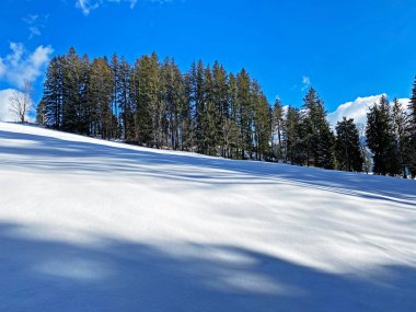 Obertoggenburg bölgesindeki Churfirsten dağlarının karlı yamaçlarında Unterwasser - İsviçre (Schweiz)