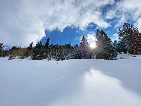 Jogo Mágico Luz Solar Sombra Durante Inverno Alpino Nas Encostas — Fotografia de Stock