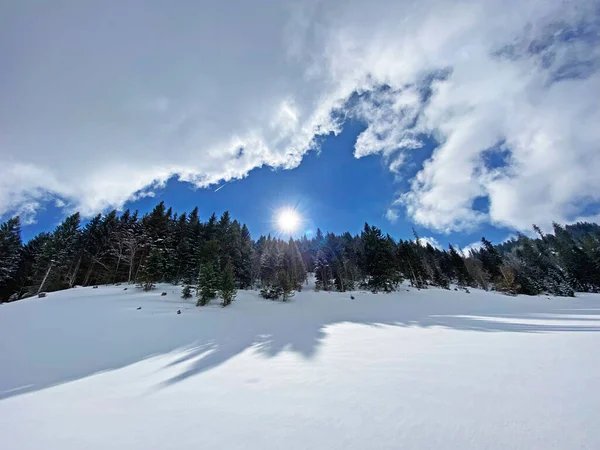 Magico Gioco Sole Ombra Durante Inverno Alpino Sulle Pendici Innevate — Foto Stock