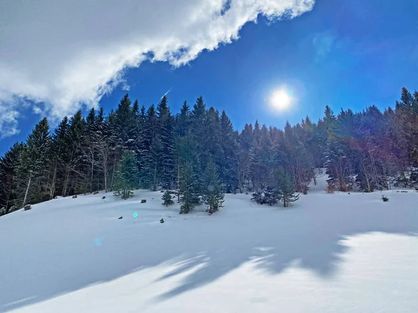 オベルトッゲンブルク地方のチュルリェン山脈の雪の斜面にある高山の冬の間の太陽と影の魔法の遊び Unterwasser スイス スイス — ストック写真