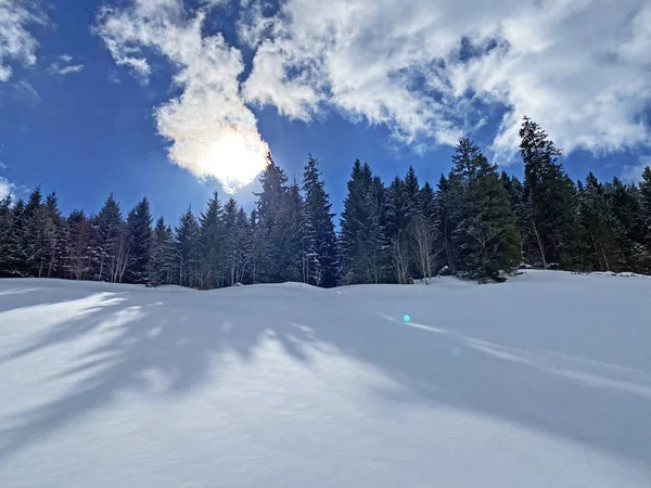 Magiczna Gra Światła Słonecznego Cienia Podczas Alpejskiej Zimy Śnieżnych Zboczach — Zdjęcie stockowe