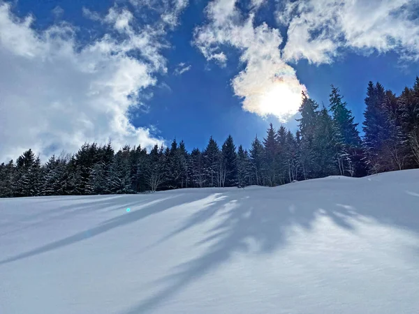 オベルトッゲンブルク地方のチュルリェン山脈の雪の斜面にある高山の冬の間の太陽と影の魔法の遊び Unterwasser スイス スイス — ストック写真