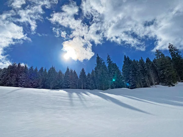 Ett Magiskt Spel Solljus Och Skugga Den Alpina Vintern Snöiga — Stockfoto