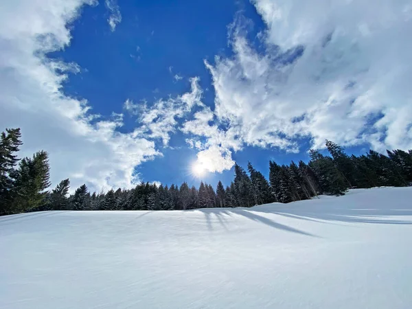 Магічна Гра Сонячного Світла Тіні Під Час Альпійської Зими Сніжних — стокове фото