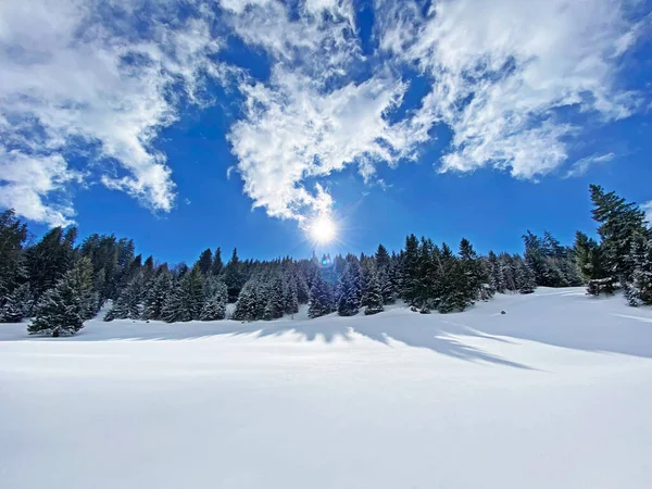 Magiczna Gra Światła Słonecznego Cienia Podczas Alpejskiej Zimy Śnieżnych Zboczach — Zdjęcie stockowe