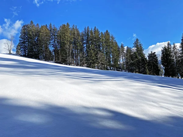 Kouzelná Hra Slunečního Svitu Stínu Během Alpské Zimy Zasněžených Svazích — Stock fotografie
