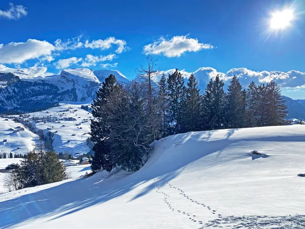 瑞士温特瓦塞尔奥伯托根堡地区丘尔菲斯登山脉雪坡上的高山冬季 一场神奇的阳光和阴影表演 — 图库照片