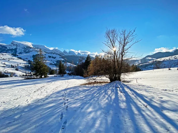 Jogo Mágico Luz Solar Sombra Durante Inverno Alpino Nas Encostas — Fotografia de Stock