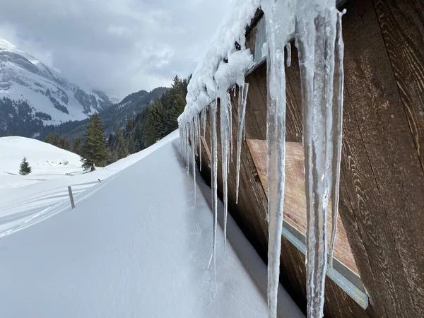 阿尔普斯泰因山脉斜坡和瑞士Unterwasser阿尔卑斯山 施韦兹 冬季严酷冬季的冰川和冰水 — 图库照片
