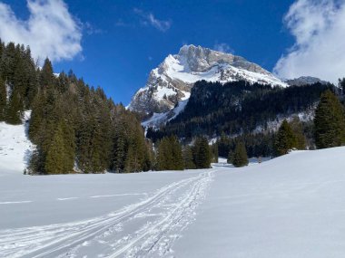 Alpstein dağ sıralarında (veya Wildhuser Schafberg, 2373 m) ve Appenzell Alps massif, Unterwasser - İsviçre 'nin St. Gallen Kantonu (Schweiz)
