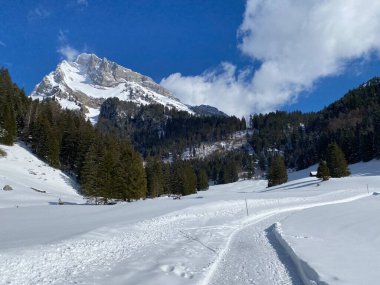 Alpstein dağ sıralarında (veya Wildhuser Schafberg, 2373 m) ve Appenzell Alps massif, Unterwasser - İsviçre 'nin St. Gallen Kantonu (Schweiz)