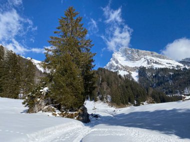 Alpstein dağ sıralarında (veya Wildhuser Schafberg, 2373 m) ve Appenzell Alps massif, Unterwasser - İsviçre 'nin St. Gallen Kantonu (Schweiz)