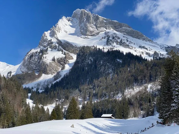 Vit Filt Alpin Topp Wildhuser Schofberg Eller Wildhuser Schafberg 2373 — Stockfoto