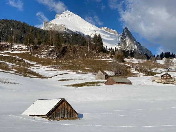 高山のピーク時に白い毛布Wildhuser Schofberg またはWildhuser Schafberg 2373 アルプステイン山脈と付録のアルプスの大規模な Unterwasser カントン セントガレン スイス — ストック写真