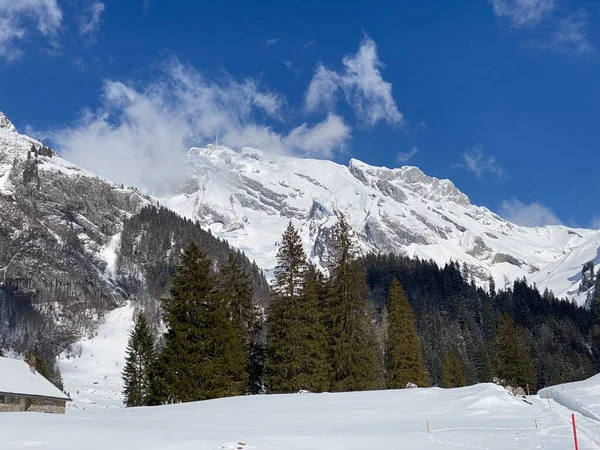 Snötäckta Alpina Toppar Santis Eller Saentis 2502 Alpsteins Bergskedja Och — Stockfoto