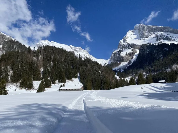 Заснеженные Альпийские Вершины Santis Saentis 2502 Wildhuser Schofberg Wildhuser Schafberg — стоковое фото