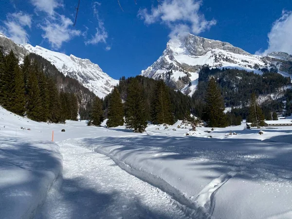 Заснеженные Альпийские Вершины Santis Saentis 2502 Wildhuser Schofberg Wildhuser Schafberg — стоковое фото