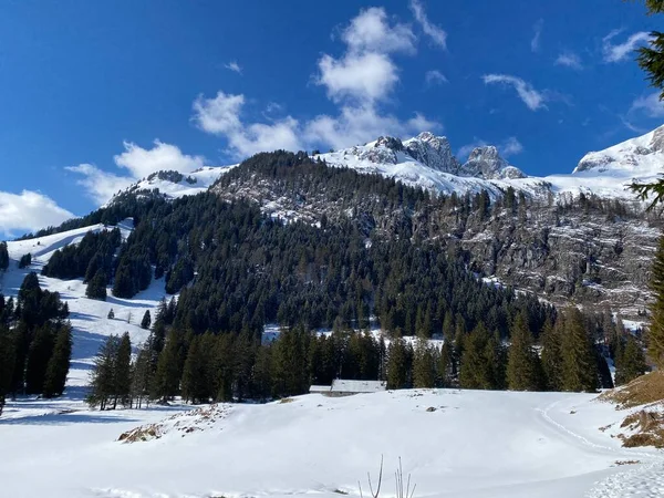 Pastos Alpinos Altos Cubiertos Nieve Picos Rocosos Del Macizo Alpstein — Foto de Stock