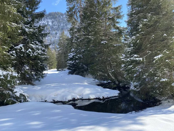 アルプシュタイン山脈の斜面や川の渓谷で 冬の雪の中で身に着けているアルパインストリームサンティサー またはSaentissur オーバートッゲンブルク Unterwasseer スイス スイス — ストック写真