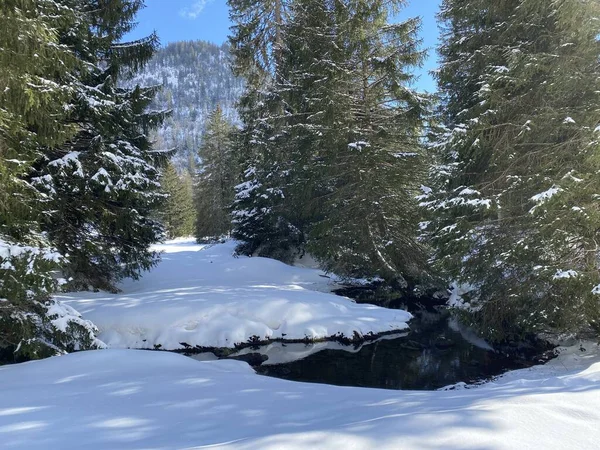 Ruisseau Alpin Santisthur Saentisthur Vêtu Neige Hivernale Sur Les Pentes — Photo