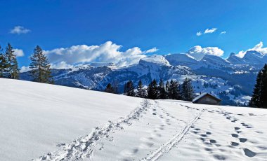 Appenzell Alpleri 'nde İsviçre dağlarının karlı tepeleri Churfirsten (Churfursten veya Churfuersten) - Unterwasser, İsviçre (Schweiz)