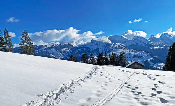 Pics Enneigés Chaîne Alpine Suisse Churfirsten Churfursten Churfuersten Dans Massif — Photo