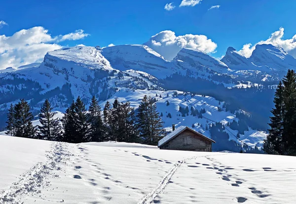 스위스의 눈덮인 산봉우리아 알프스 터와저 스위스 바이츠 스위스 산봉우리 Churfursten — 스톡 사진