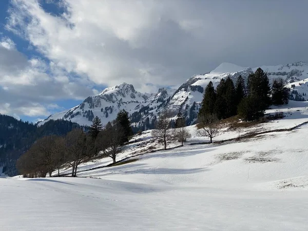 Schneebedeckter Lutispitz Oder Luetispitz 1986 Und Schofwisspitz 1989 Alpsteinmassiv Und — Stockfoto