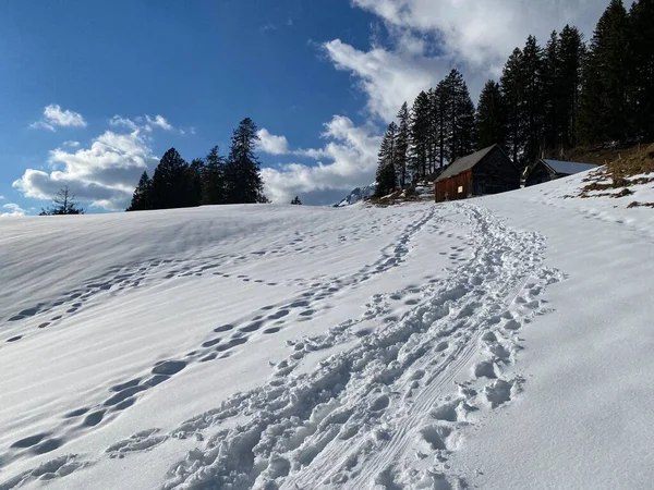 Чудові Зимові Походи Сліди Схилах Альпштейнського Гірського Пасма Свіжому Сніговому — стокове фото