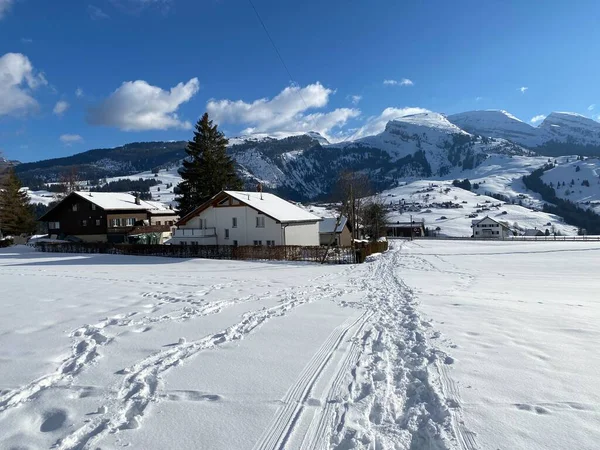 Maravilhosas Trilhas Para Caminhadas Inverno Traços Nas Encostas Cordilheira Alpstein — Fotografia de Stock