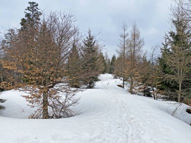 Wagitalersee (veya Waegitalersee), İsviçre (Schweiz)