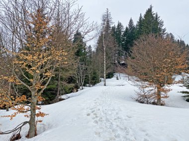 Wagitalersee (veya Waegitalersee), İsviçre (Schweiz)