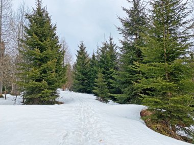 Wagitalersee (veya Waegitalersee), İsviçre (Schweiz)
