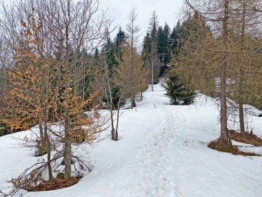 Wagitalersee (veya Waegitalersee), İsviçre (Schweiz)